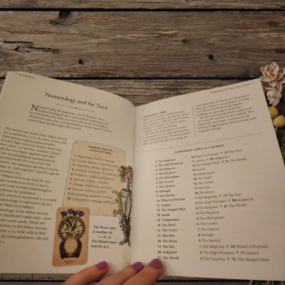 Antique Anatomy Tarot Deck | 78-Card Tarot with Guidebook | Gift Ready - Picture 10 of 16